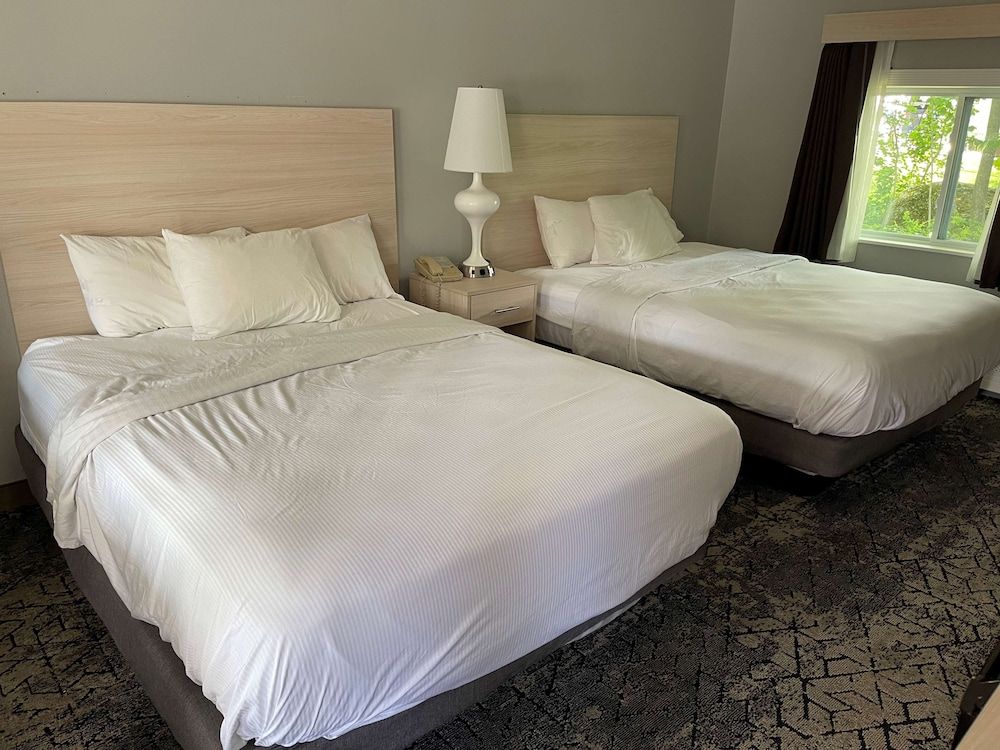 Suite, Multiple Beds, Non Smoking (not pet friendly)
