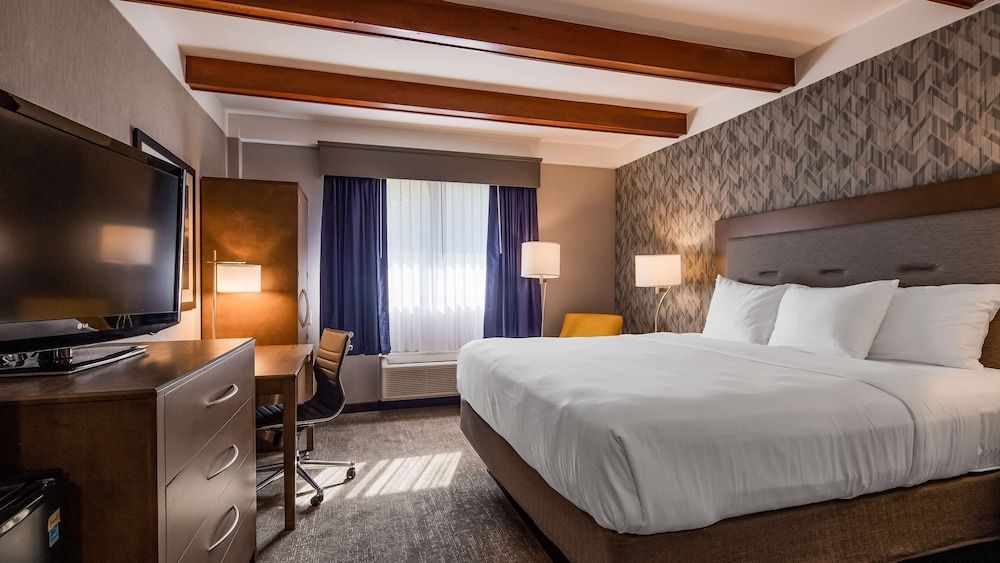Standard Room, 1 King Bed, Non Smoking, Refrigerator & Microwave