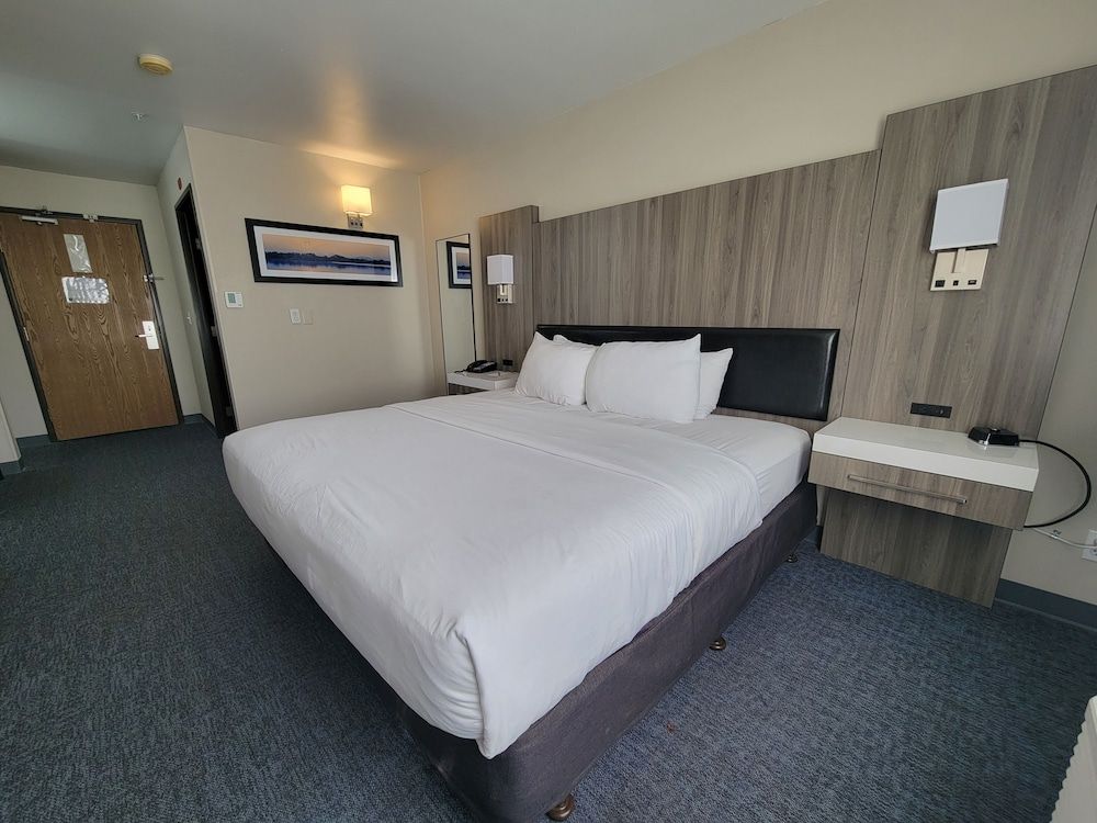 Standard Room, 1 King Bed, Non Smoking