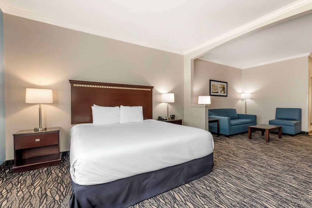 Standard Room, 1 King Bed, Accessible, Refrigerator & Microwave (with Sofabed)