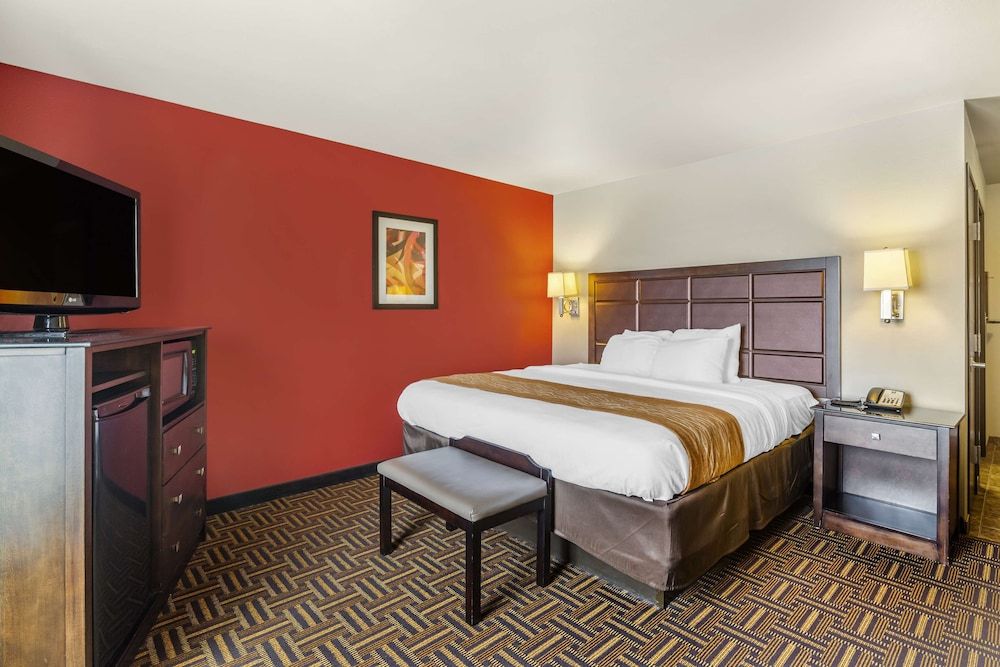 Basic Room, 1 King Bed, Accessible
