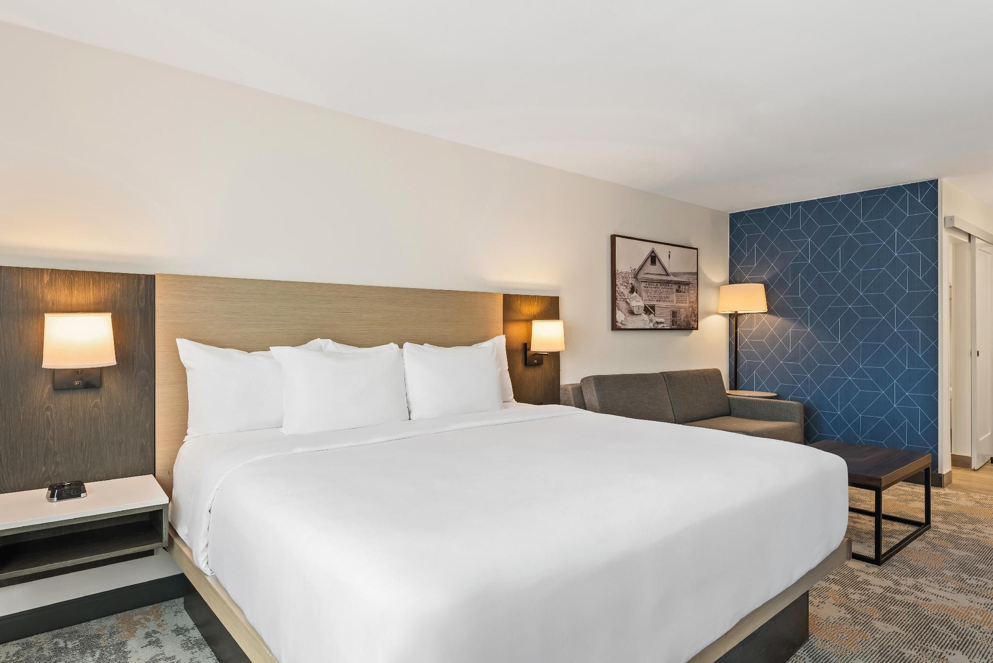 1 King Bed, Suite, Nonsmoking