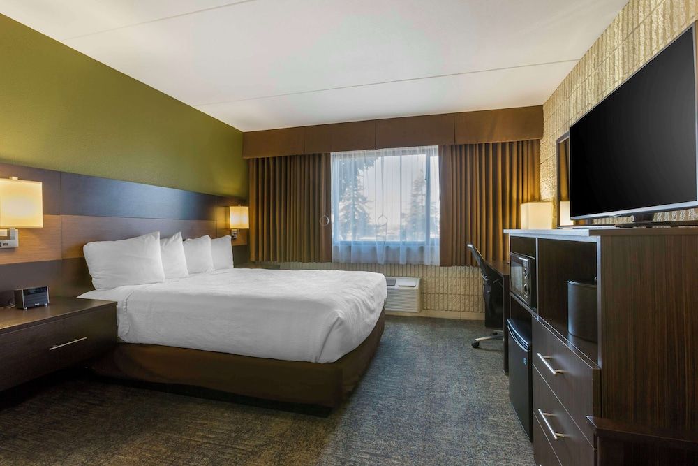 Standard Room, 1 Queen Bed, Accessible, Non Smoking (Roll in Shower)