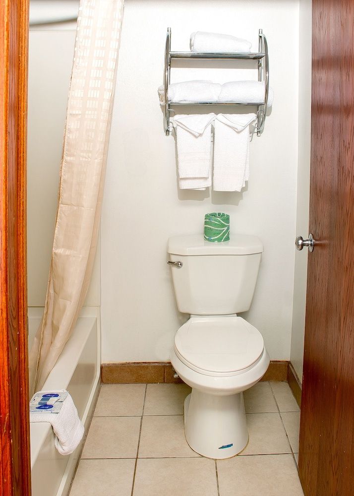 Budget Inn and Suites Basic Single Room, 1 King Bed, Non Smoking 6