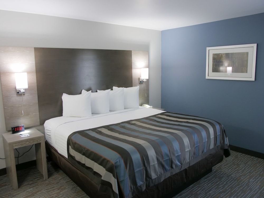 Suite, 1 King Bed, Non Smoking (One-Bedroom Suite)