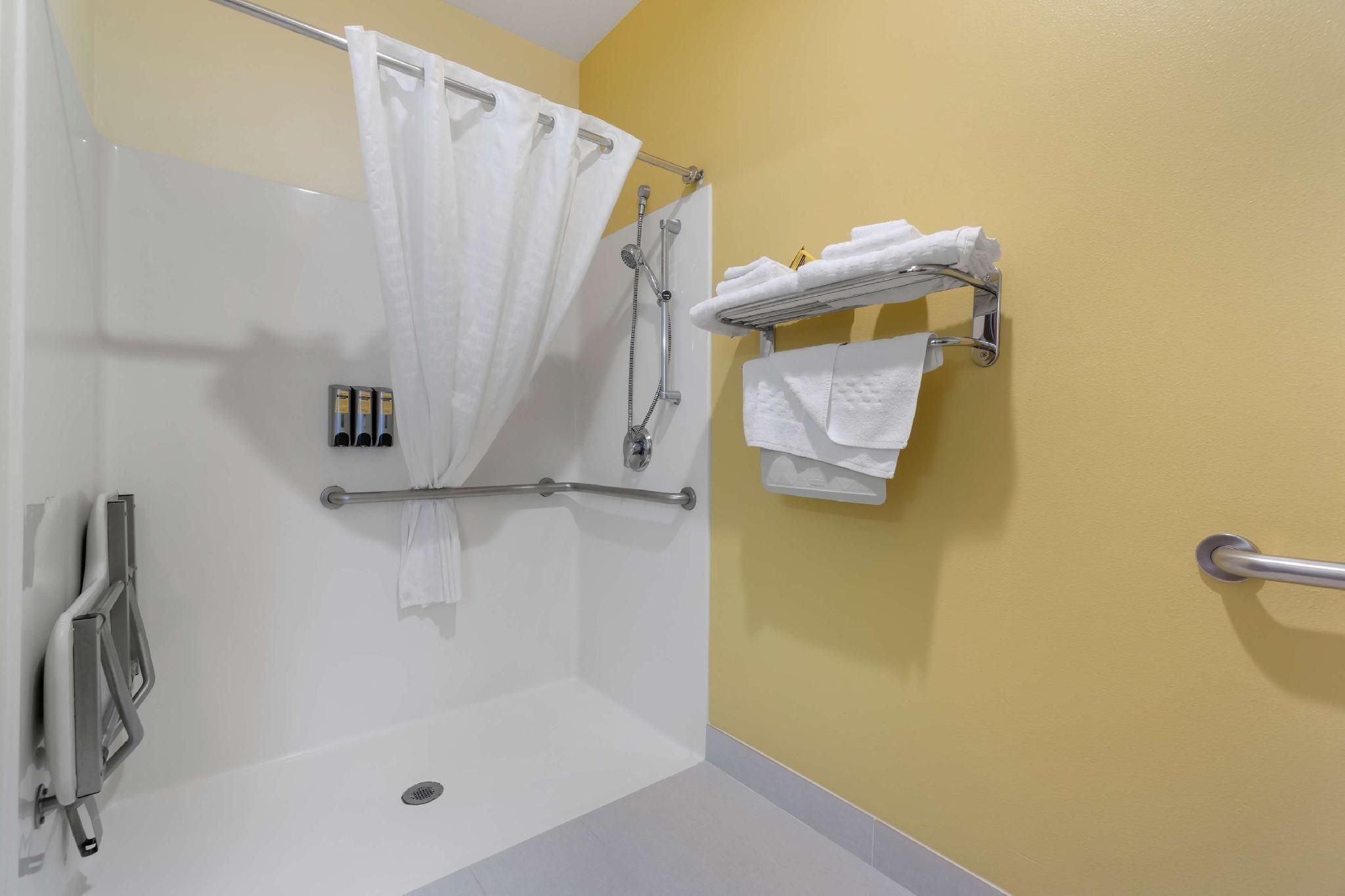 Accessibility - 1 King, Roll-in Shower, Nonsmoking