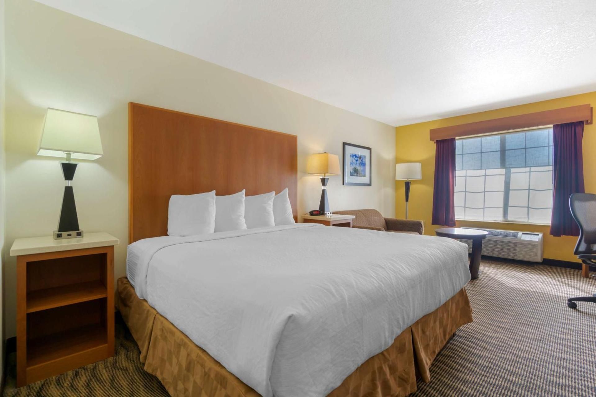 1 King Bed, Nonsmoking, Pet Friendly Room, Deluxe Room