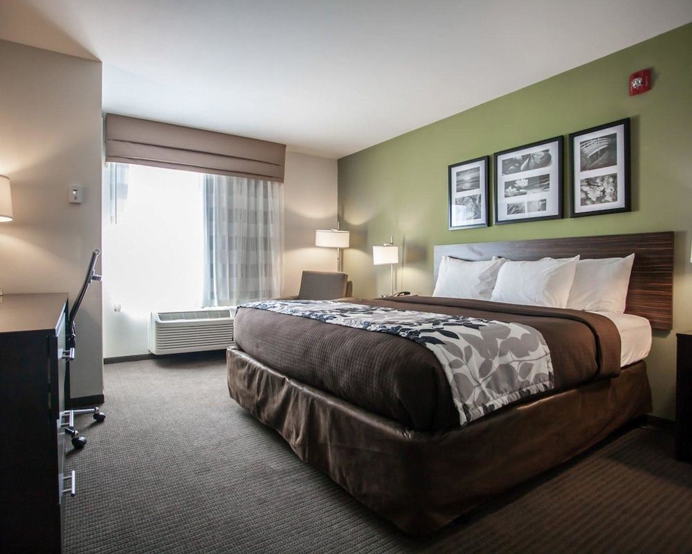 Room, 1 King Bed, Accessible, Non Smoking