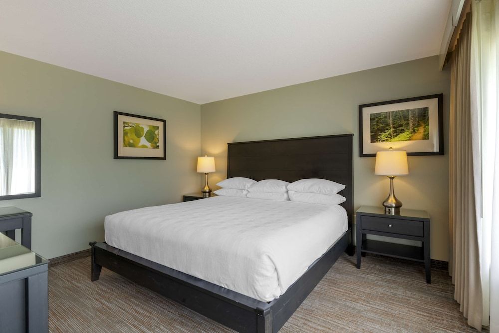 Studio Suite, 1 King Bed, River View (Shower Only, Picture window, No pets)