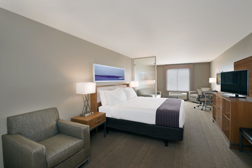 Suite, 1 King Bed with Sofa bed, Accessible (Communication Accessible)