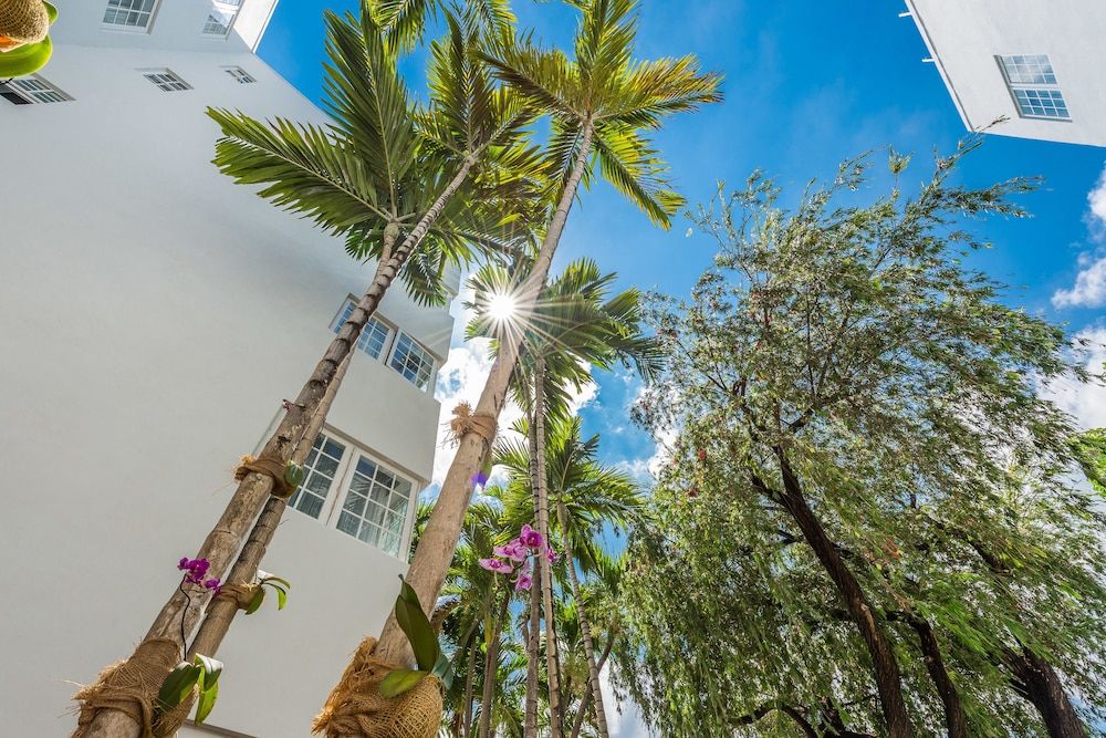 undefined Hotel Belleza 4