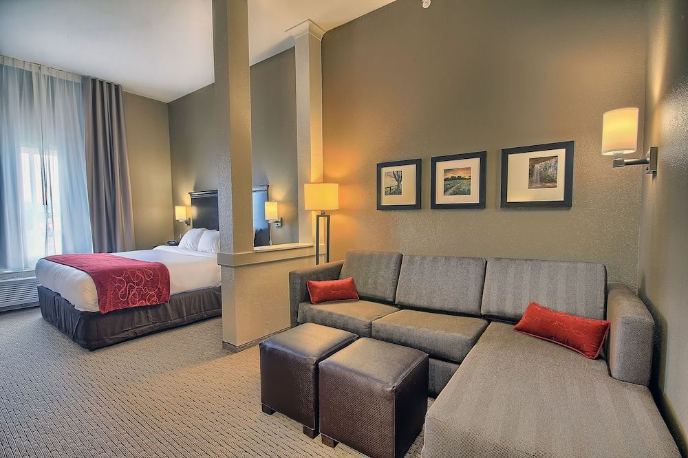 Suite, 1 King Bed with Sofa bed