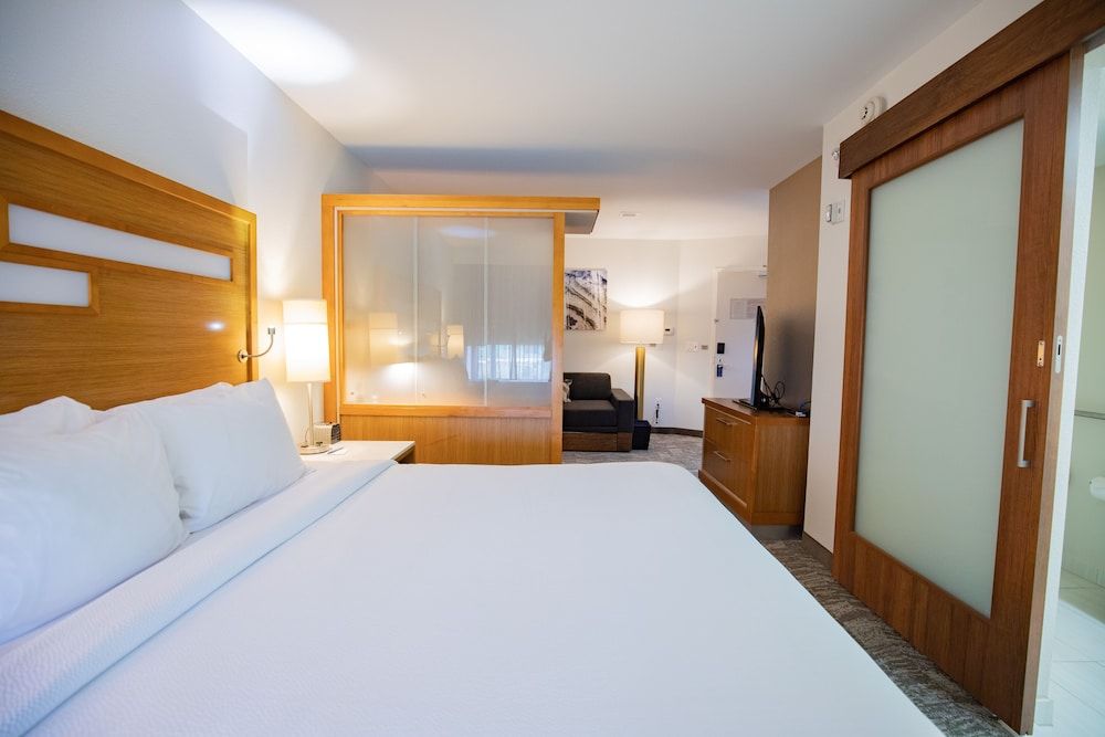 Studio, 1 King Bed with Sofa bed, Non Smoking (Mobility Accessible, Tub)