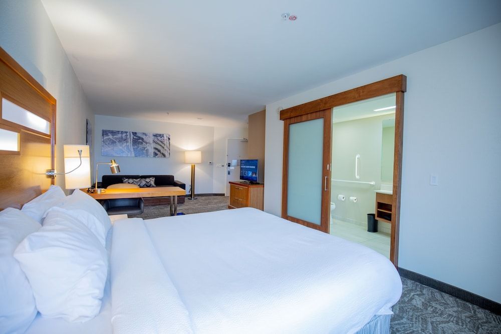 Studio, 1 King Bed with Sofa bed, Non Smoking (Mobility Accessible, Roll-In Shower)