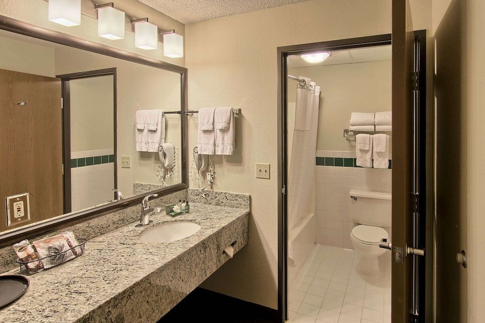 Blossom Hotel & Suites Traverse City Business Suite 4