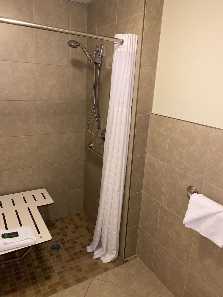 Blossom Hotel & Suites Traverse City Basic Room, 1 King Bed, Accessible 4