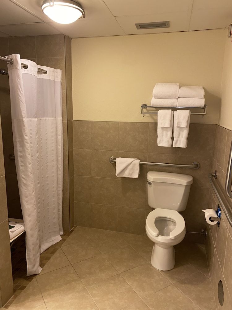 Blossom Hotel & Suites Traverse City Basic Room, 1 King Bed, Accessible 8