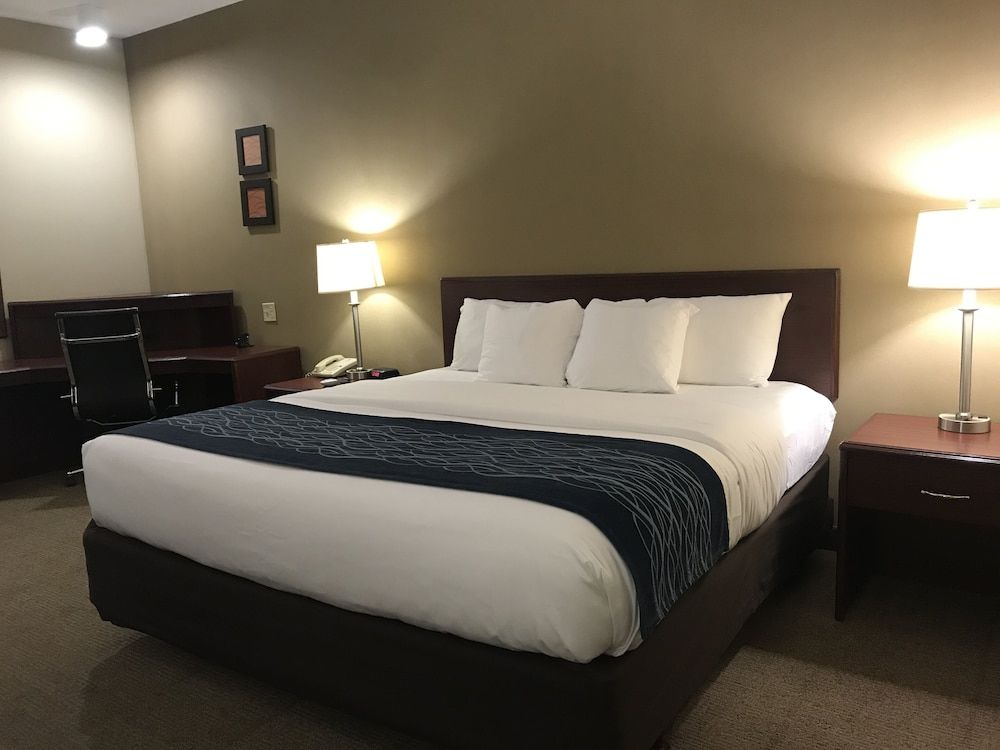 Standard Room, 1 King Bed, Non Smoking
