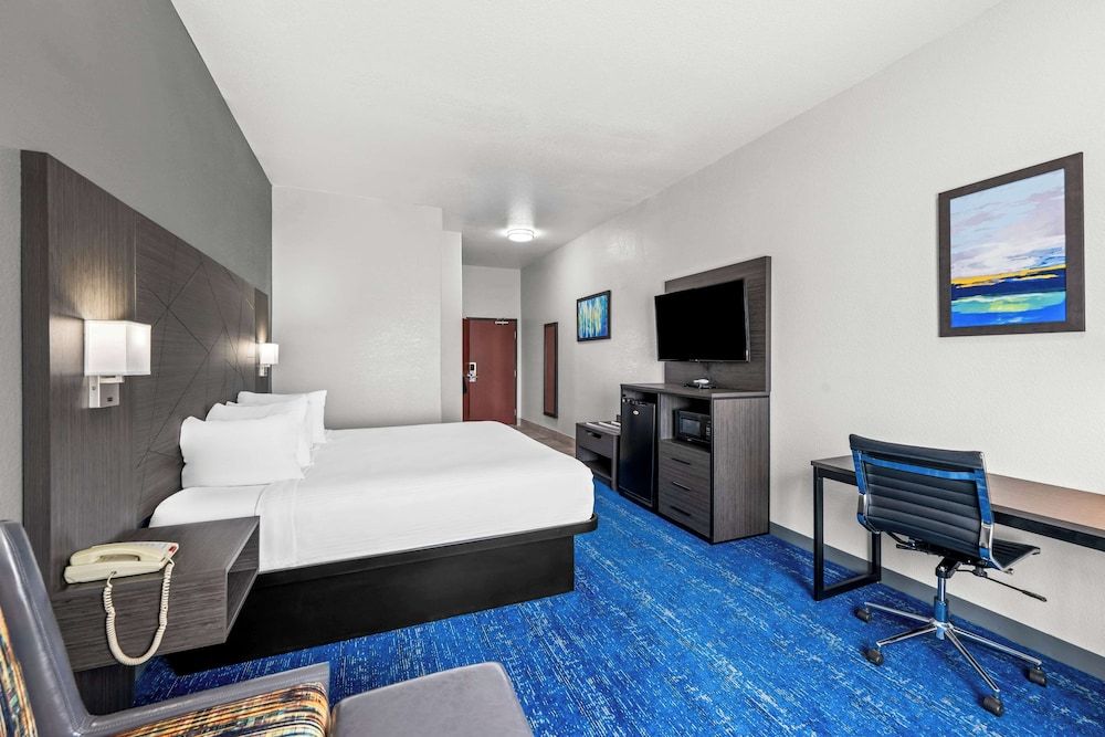 Standard Room, 1 King Bed, Accessible, Refrigerator & Microwave