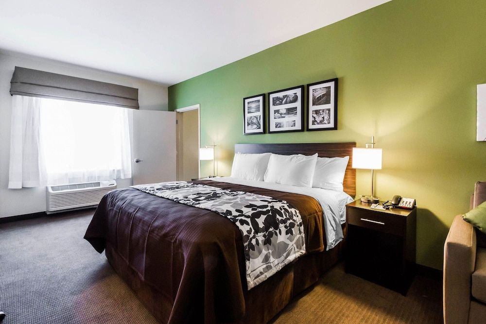 Room, 1 King Bed, Accessible, Non Smoking