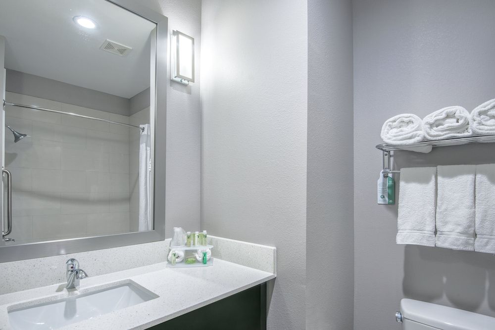 Holiday Inn Express & Suites Houston North - IAH Area by IHG Standard Room, 1 King Bed, Accessible (Communication) 7