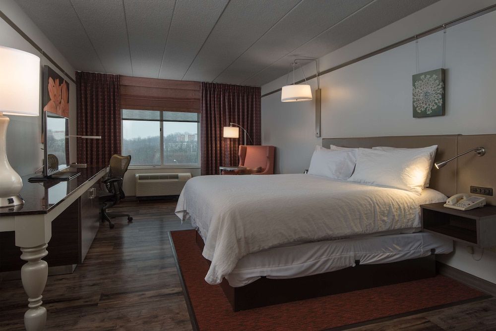 Room, 1 King Bed (Shower)