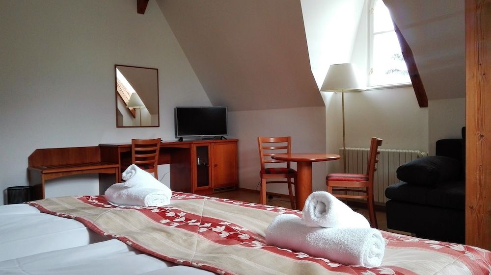 Pension Jana - Domov Mládeže Comfort Double Room 2