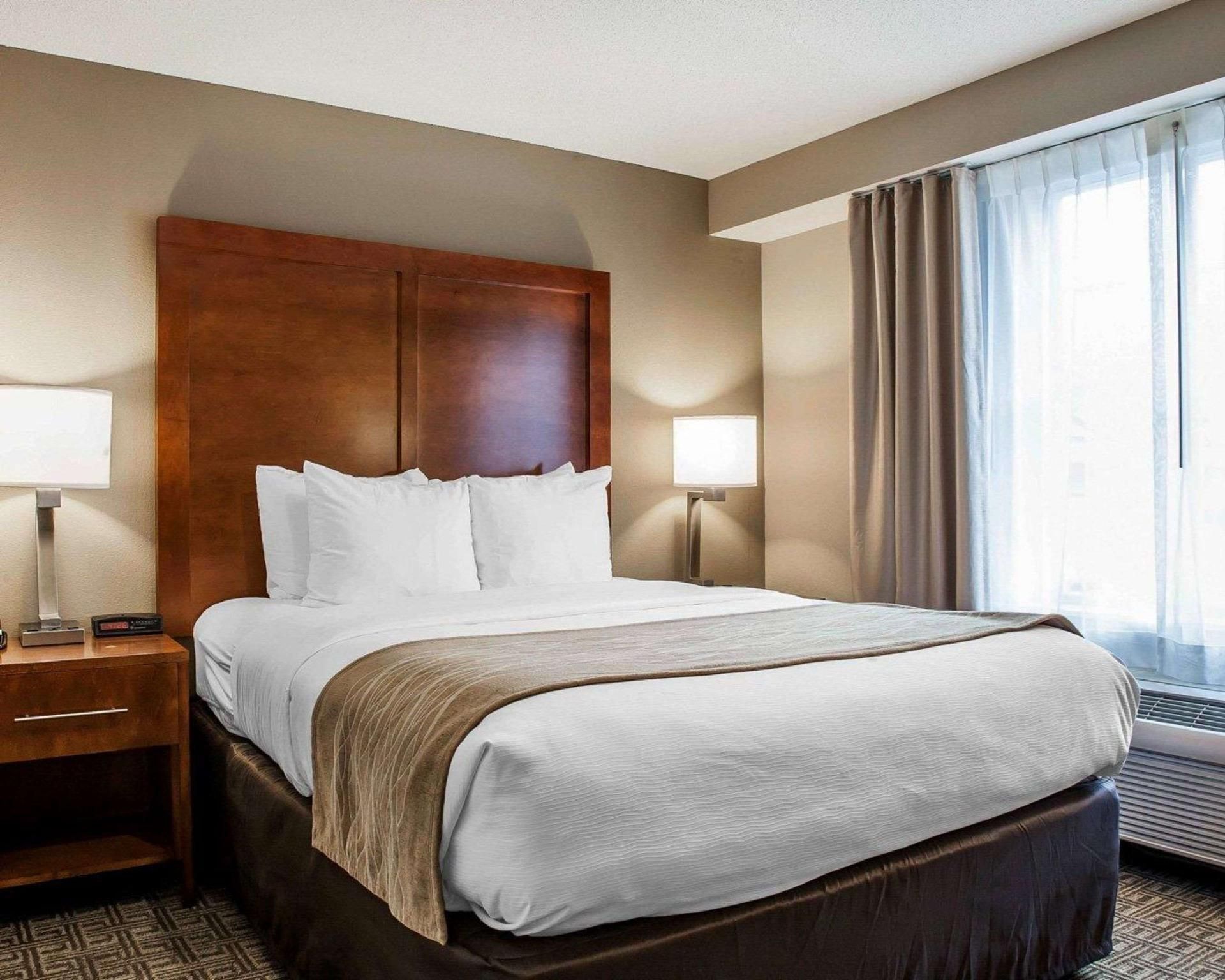 1 Queen Bed, Suite, Nonsmoking