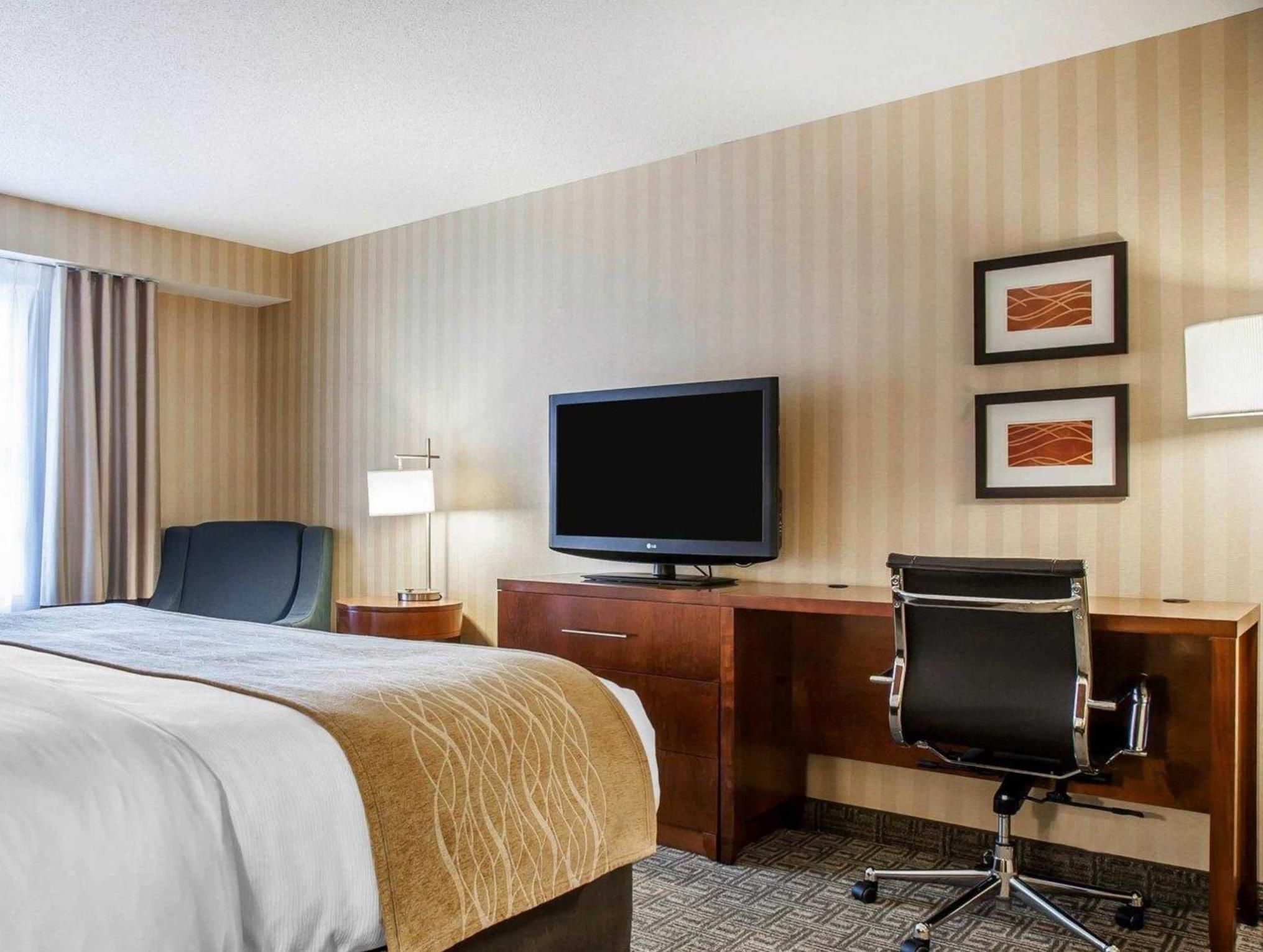 1 King Bed, Business Room, Suite, Nonsmoking