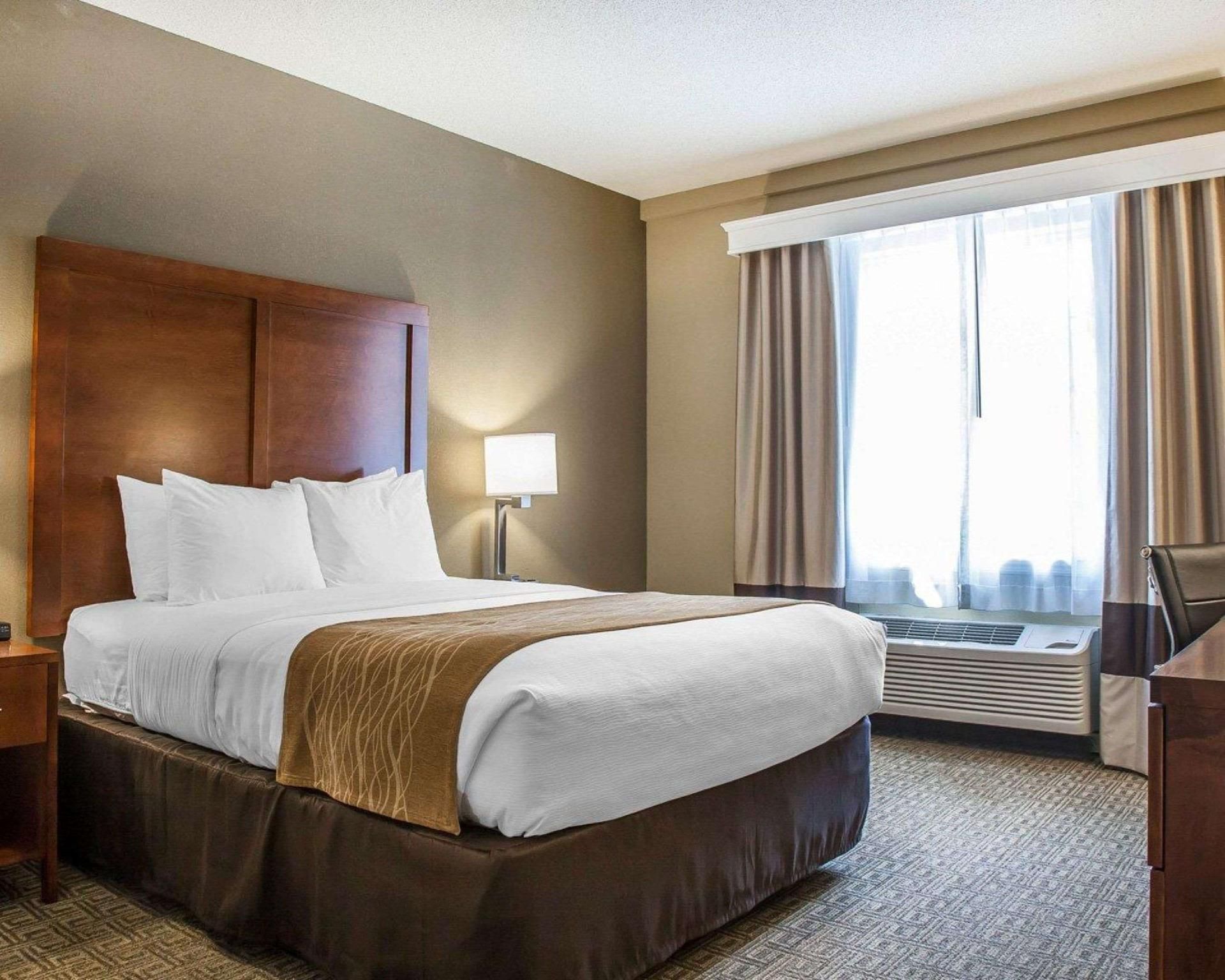 1 Queen Bed Suite Non-Smoking