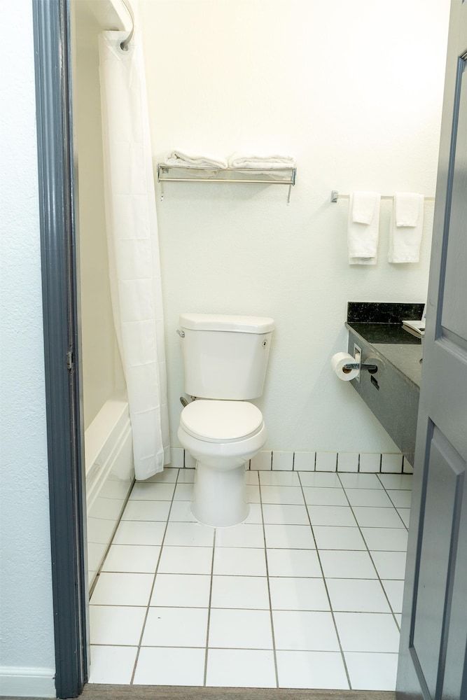 Americas Best Value Inn Donaldsonville Room, 1 King Bed 13