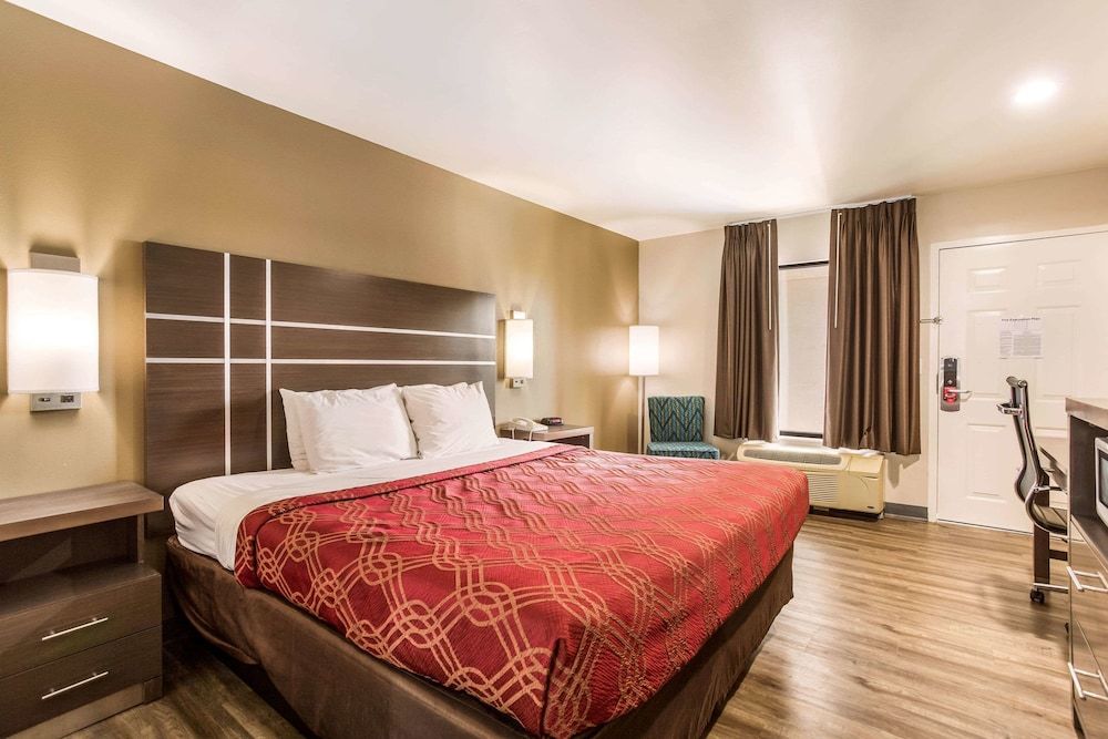 Room, 1 King Bed, Non Smoking (Bottom Floor, Standing Shower)