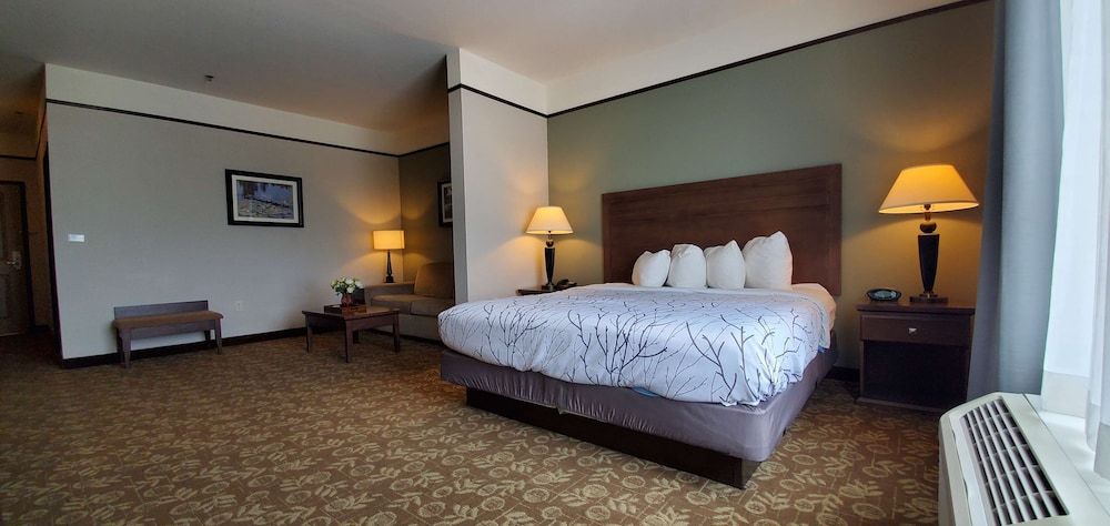 Standard Room, 1 King Bed, Non Smoking, Jetted Tub (Walk-in Shower)