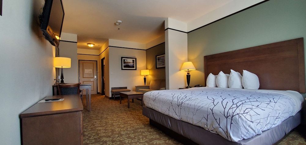 Suite, 1 King Bed, Non Smoking, Refrigerator & Microwave (with Sofabed)