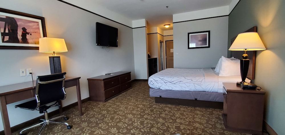 Standard Room, 1 King Bed, Non Smoking, Refrigerator & Microwave