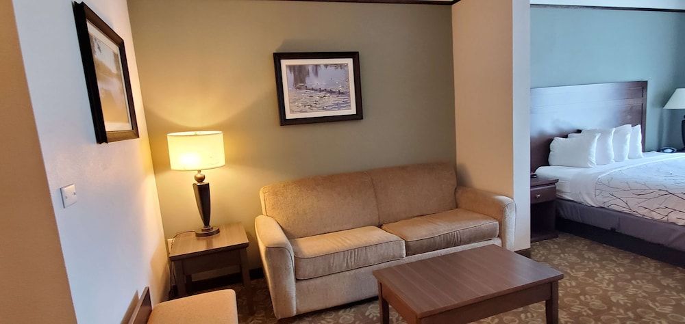 Suite, 1 King Bed, Non Smoking, Jetted Tub (Walk-in Shower;with Sofabed)