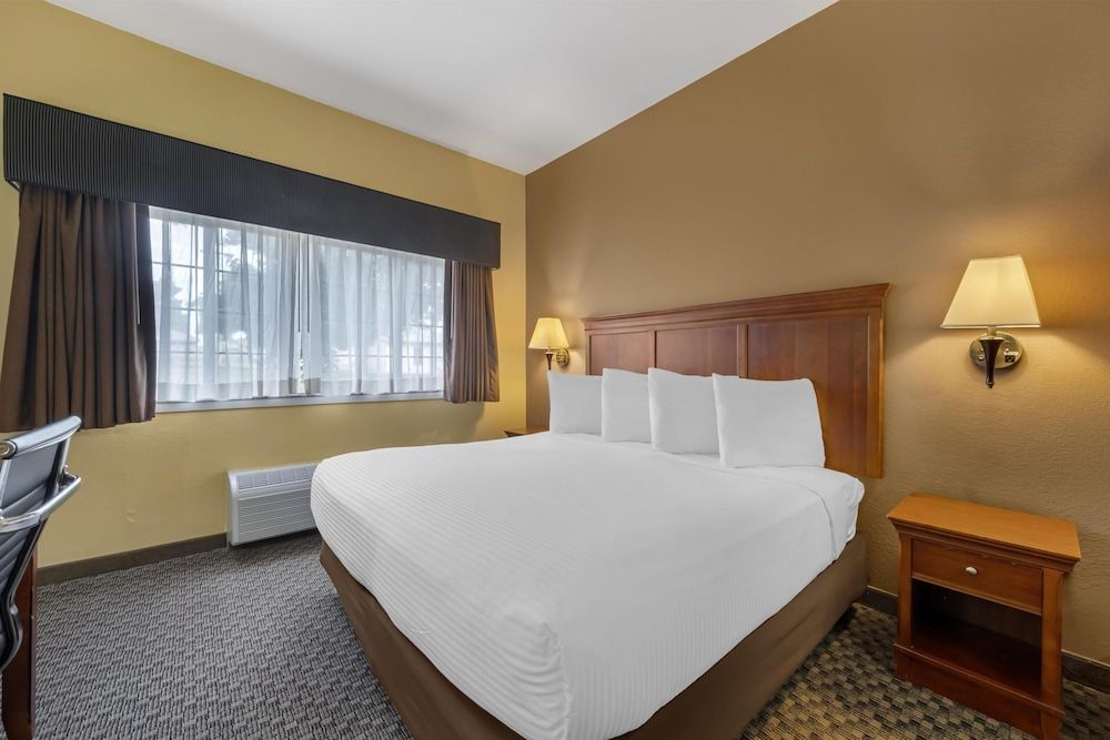 Best Western Plus Shamrock Inn & Suites Standard Room, 1 King Bed, Non Smoking, Refrigerator & Microwave