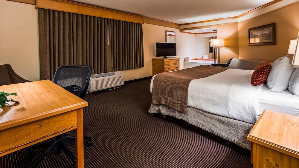 Standard Room, 1 King Bed, Non Smoking, Jetted Tub (with Sofabed)