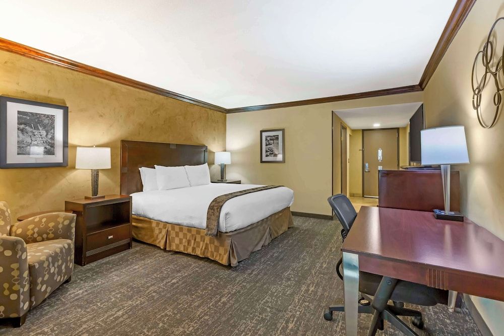 Standard Room, 1 King Bed, Accessible, Refrigerator & Microwave