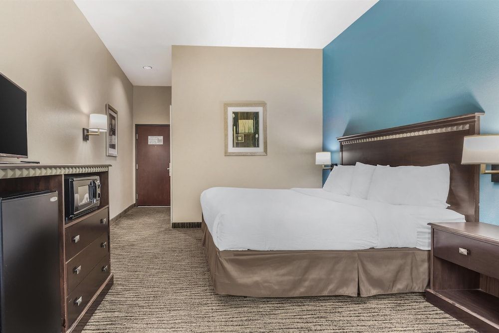 Standard Room, 1 King Bed, Non Smoking, Refrigerator & Microwave