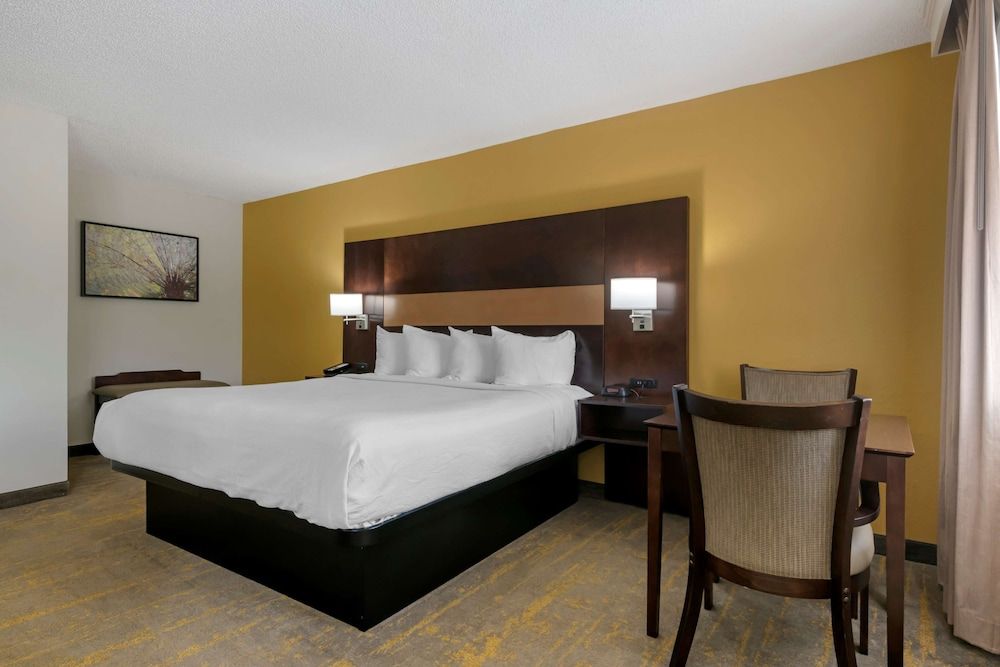 Suite, 1 King Bed, Non Smoking, Refrigerator & Microwave (with Sofabed)