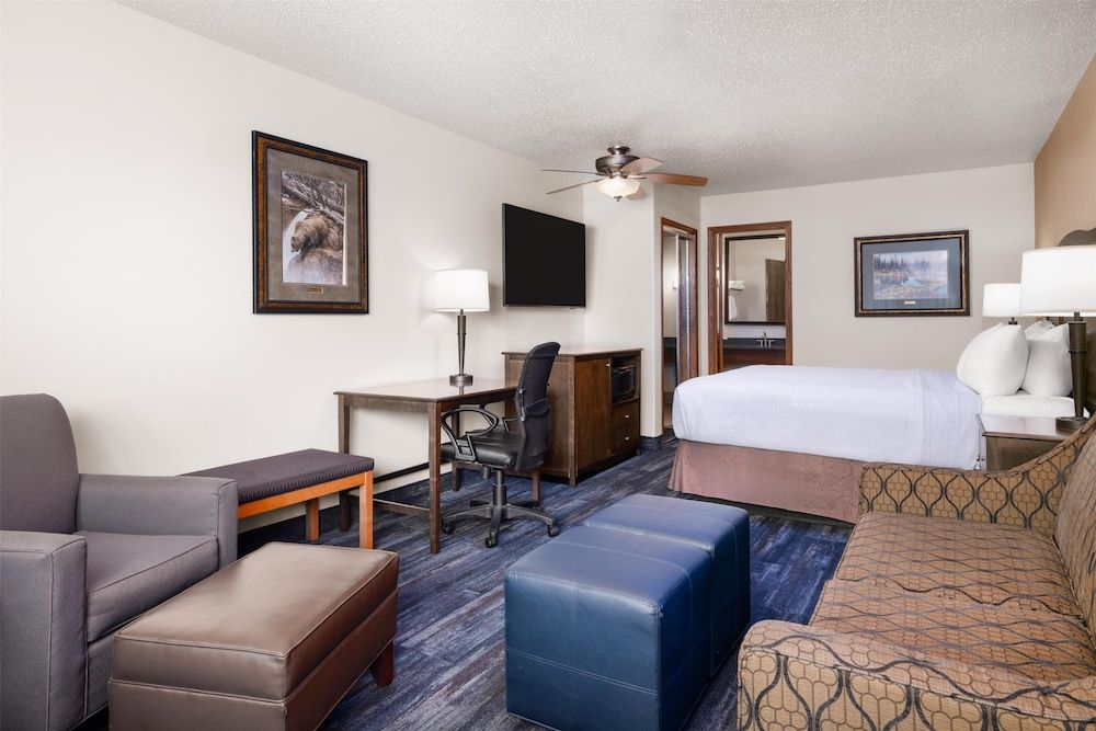 Business Room, 1 King Bed, Refrigerator & Microwave