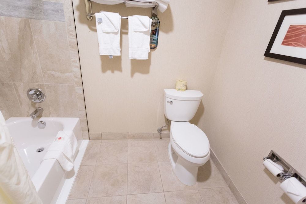 Quality Inn near Rocky Mountain National Park Standard Room, 1 King Bed, Non Smoking, Ground Floor 10