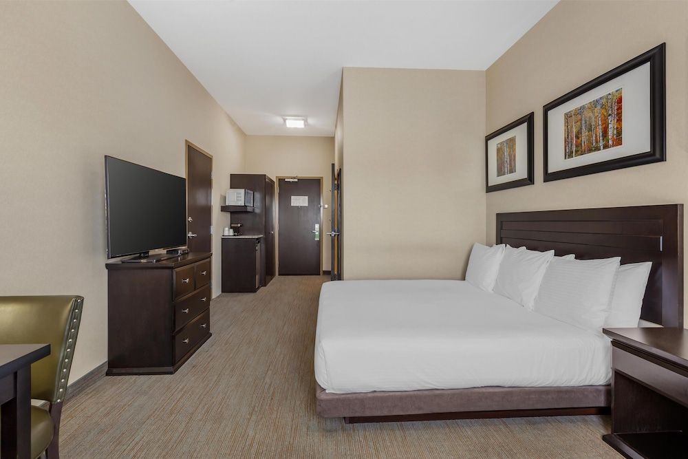 Best Western Wainwright Inn & Suites Standard Room, 1 King Bed, Accessible, Refrigerator & Microwave