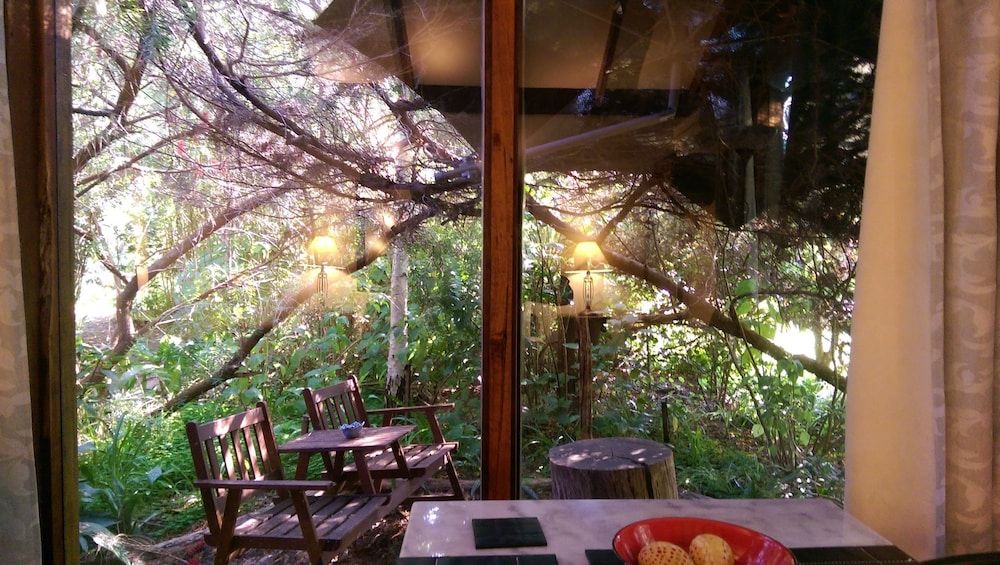 Wattle Studio