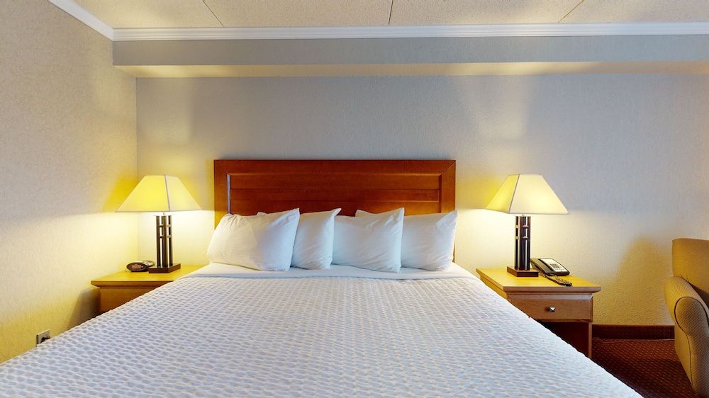 Standard Room, 1 King Bed, Non Smoking, Refrigerator & Microwave