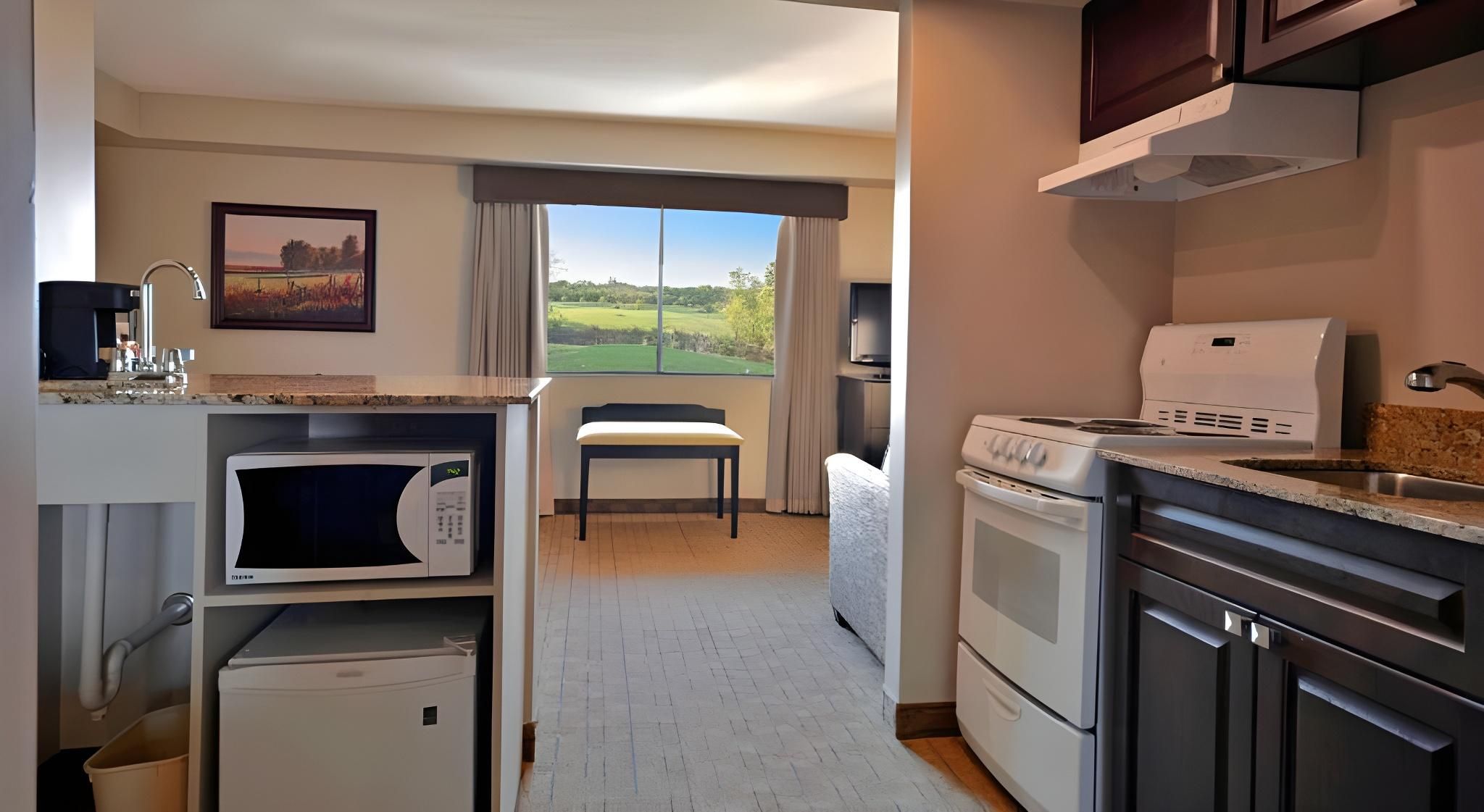 Suite-1 Queen Bed, Non-Smoking, Sofabed, Dining Table, Kitchenette, Bathrobe, Separate Living Area,