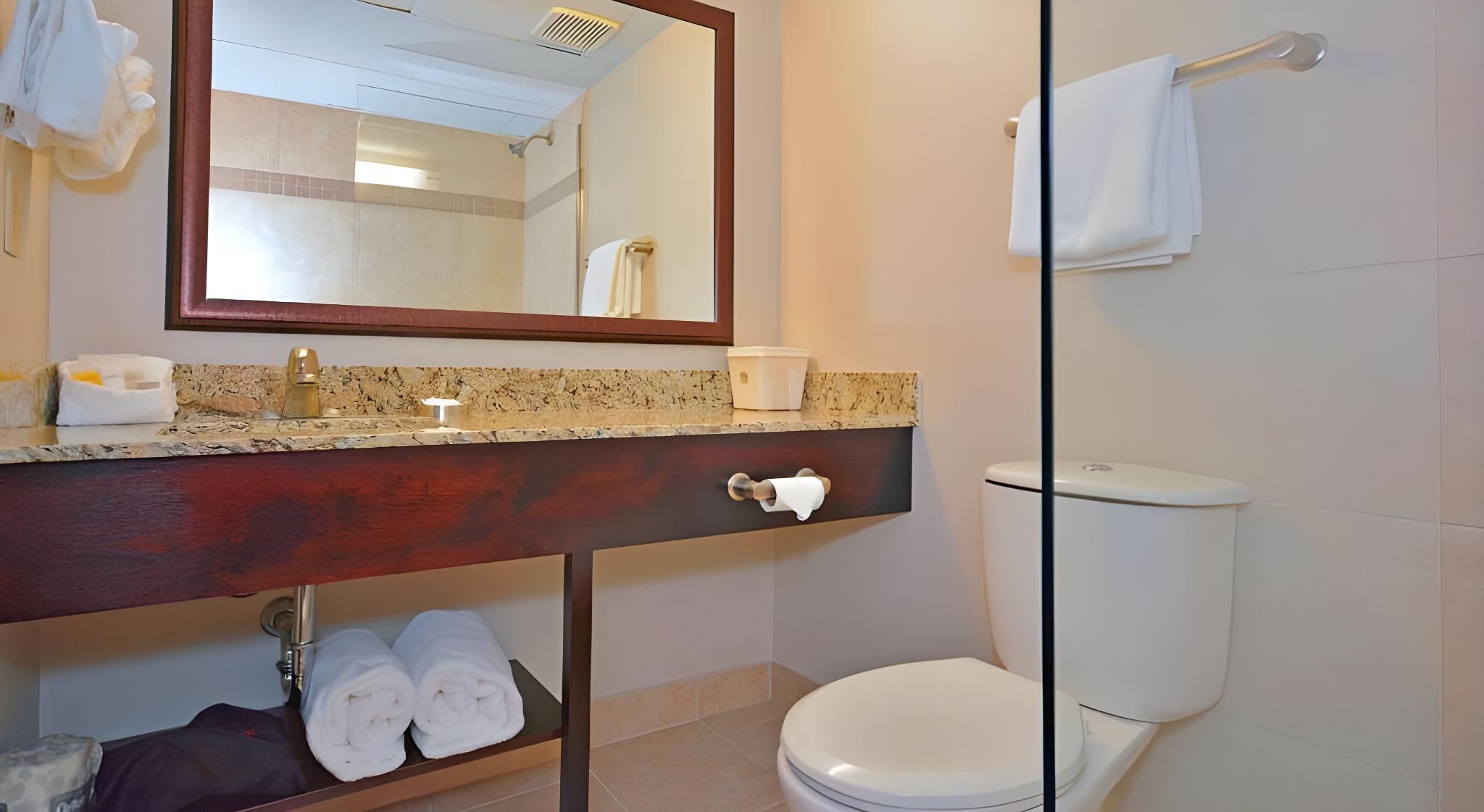 1 King Bed, Non-Smoking, Bathrobe, Flat Screen Television, High Speed Internet Access, Mini Fridge,