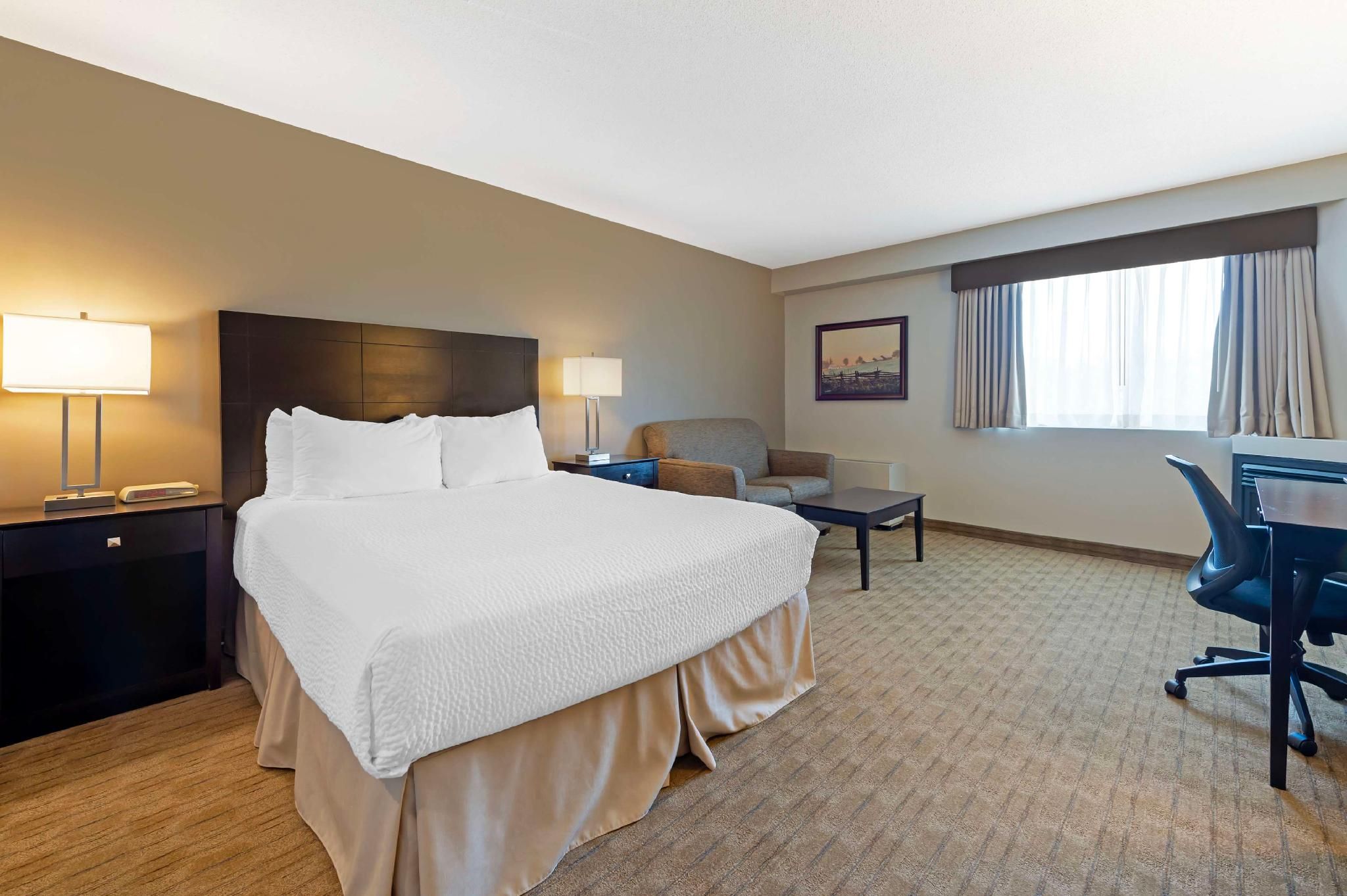1 Queen Bed, Non-smoking, Gas Fireplace, Sofabed, High Speed Internet Access, Mini Fridge, Microwave
