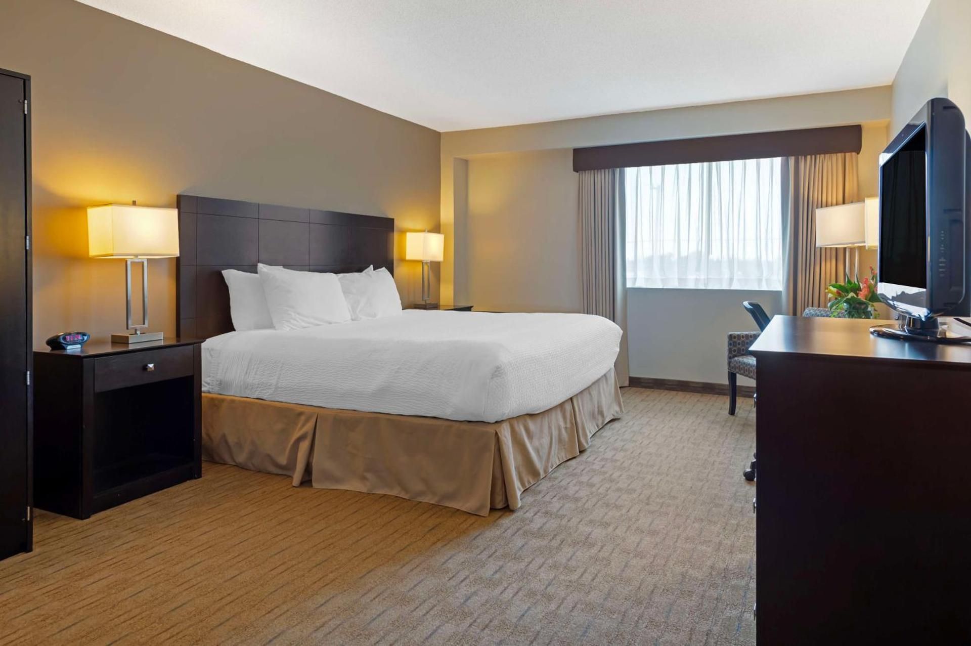 1 King Bed, Non-Smoking, Bathrobe, Flat Screen Television, High Speed Internet Access, Mini Fridge,